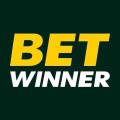 BetWinner - bet on sports profitably for yourself